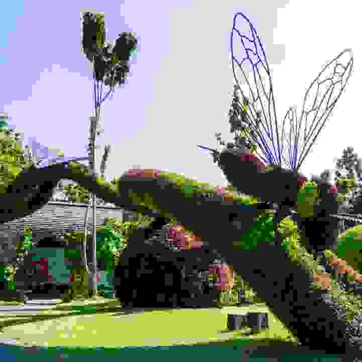 Mission: Pollination Workshop