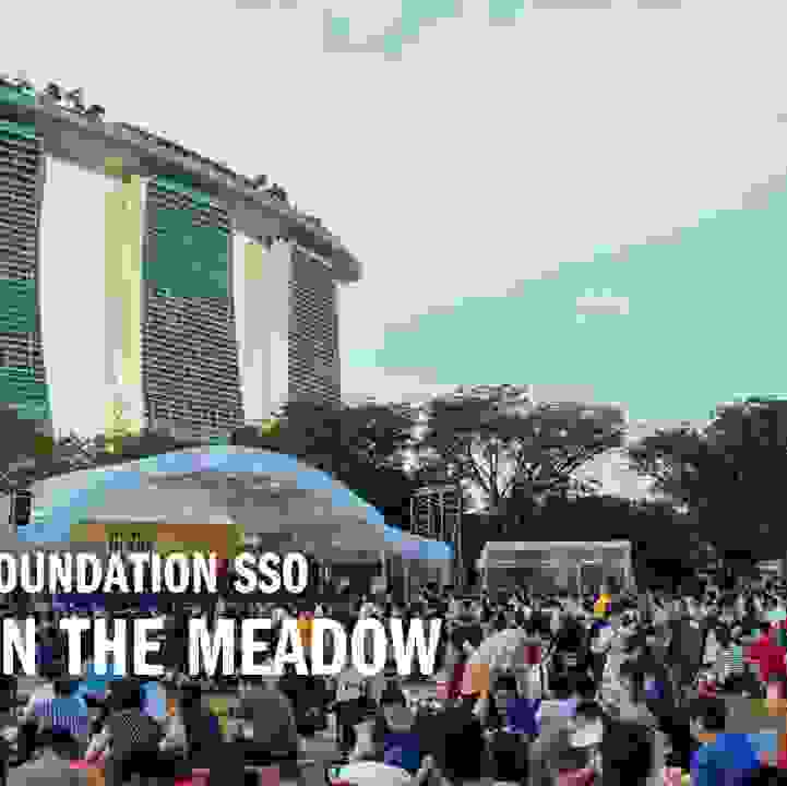 Temasek Foundation SSO Music In The Meadow