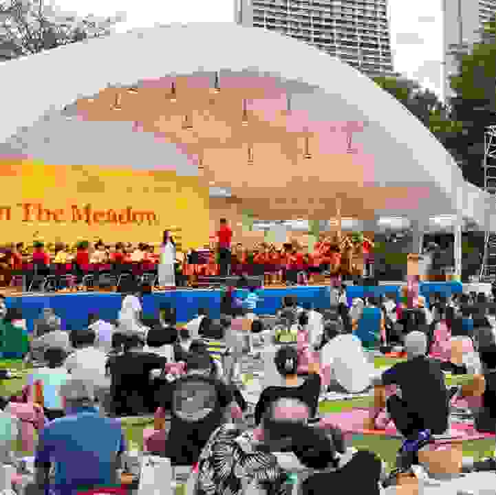 Temasek Foundation x SSO: Music In The Meadow