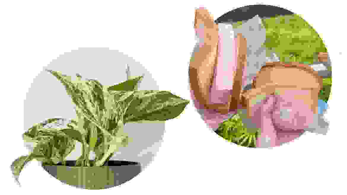 tile-image