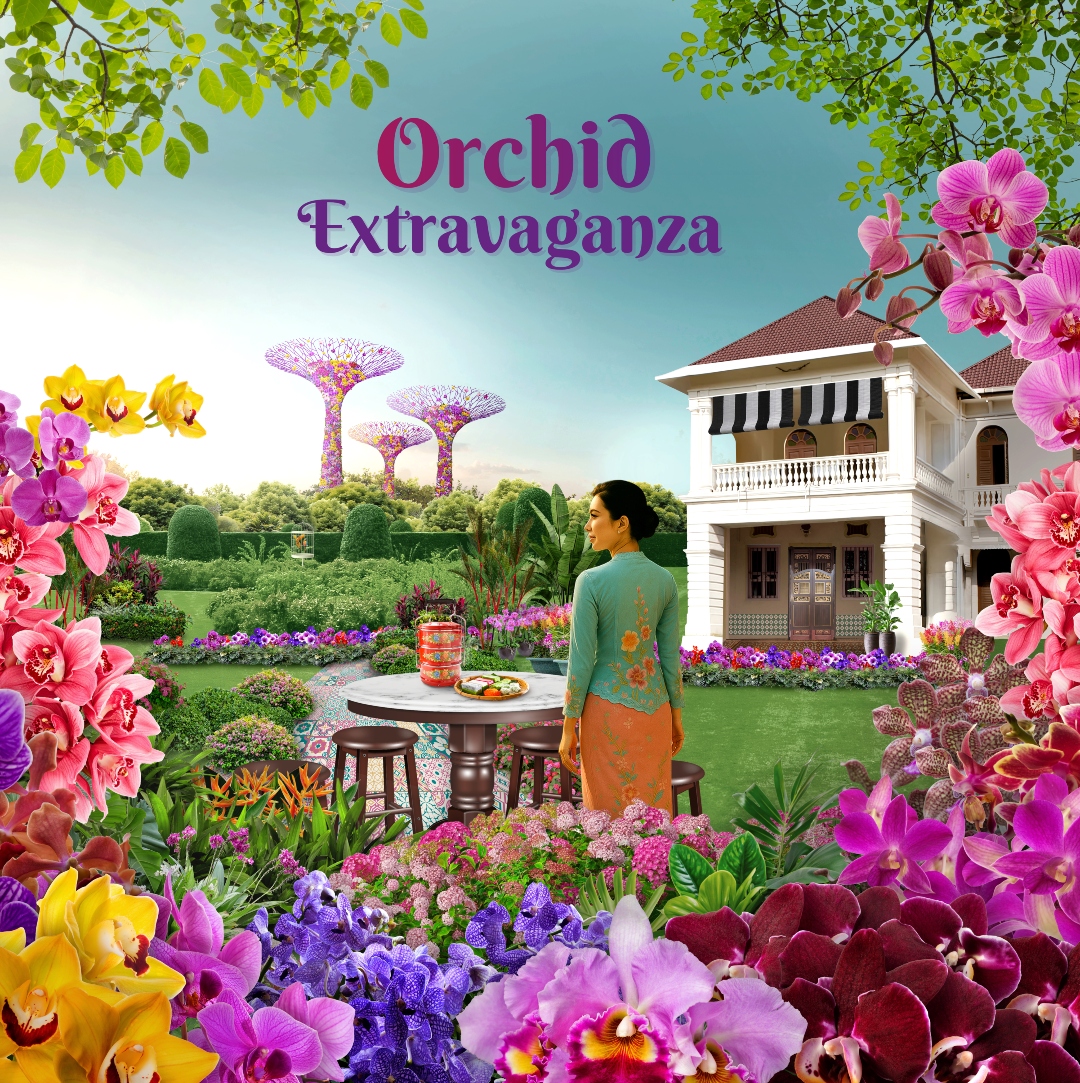 Orchid Extravaganza