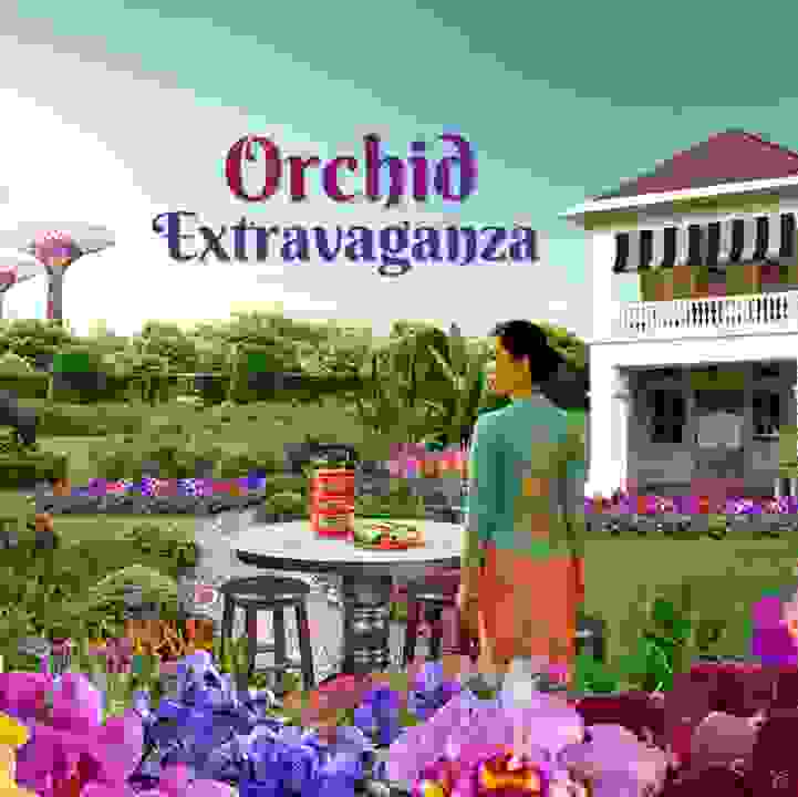 Orchid Extravaganza