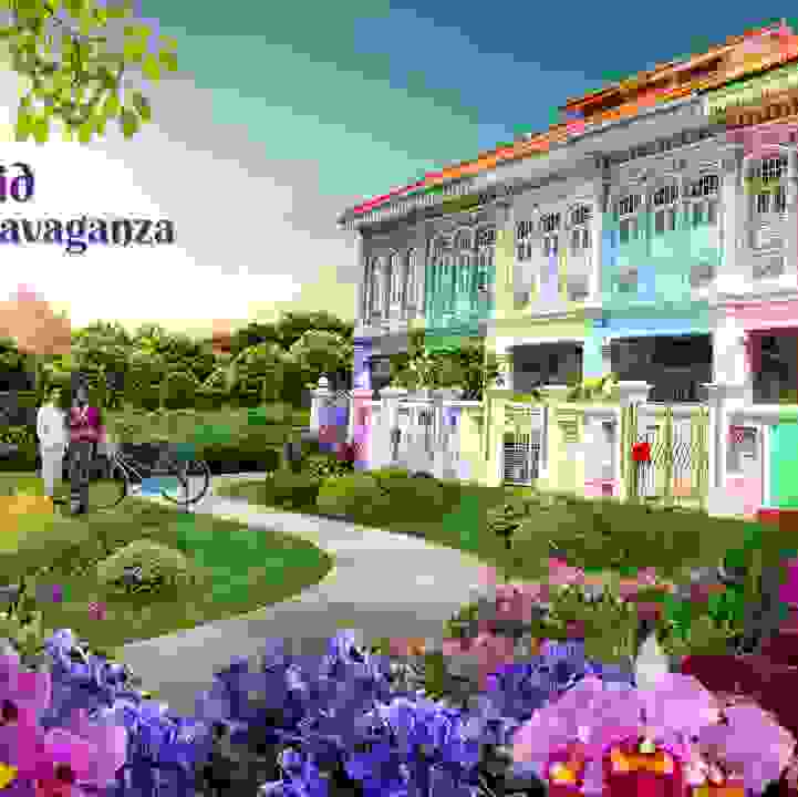 Orchid Extravaganza