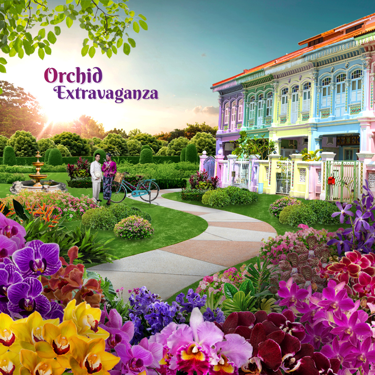 Orchid Extravaganza