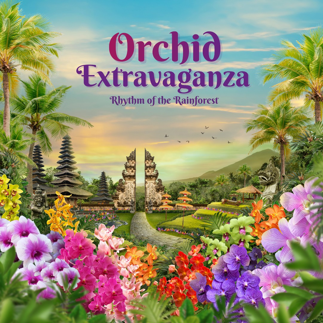 Orchid Extravaganza