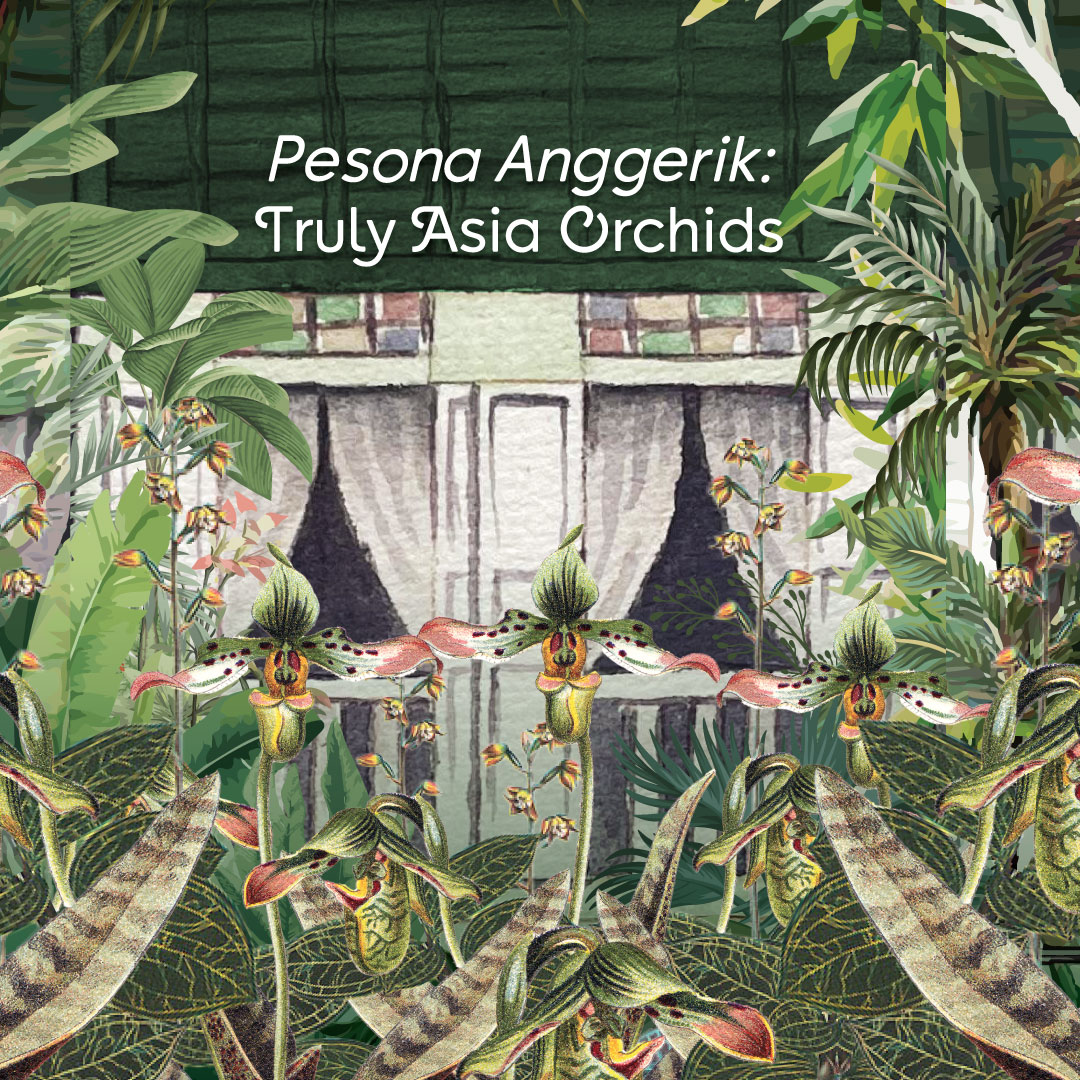 Pesona Anggerik: Truly Asia Orchids