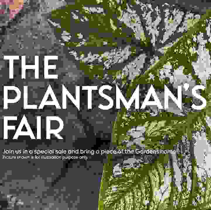 The Plantsman&rsquo;s Fair