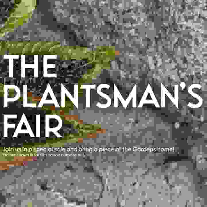 The Plantsman&rsquo;s Fair