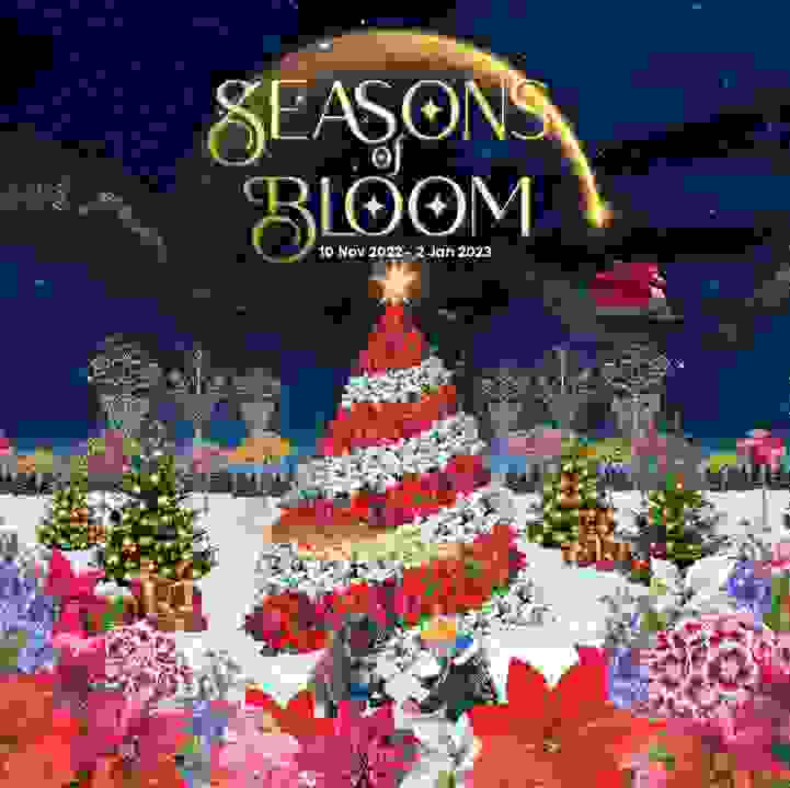 Seasons Of Bloom