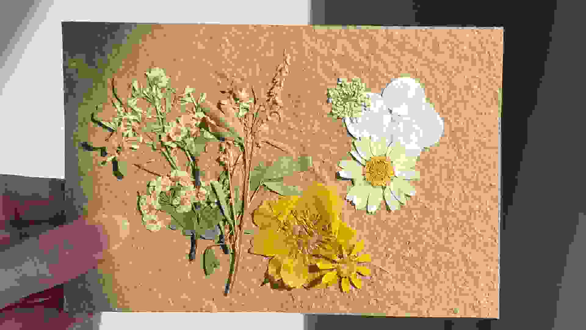 tile-image