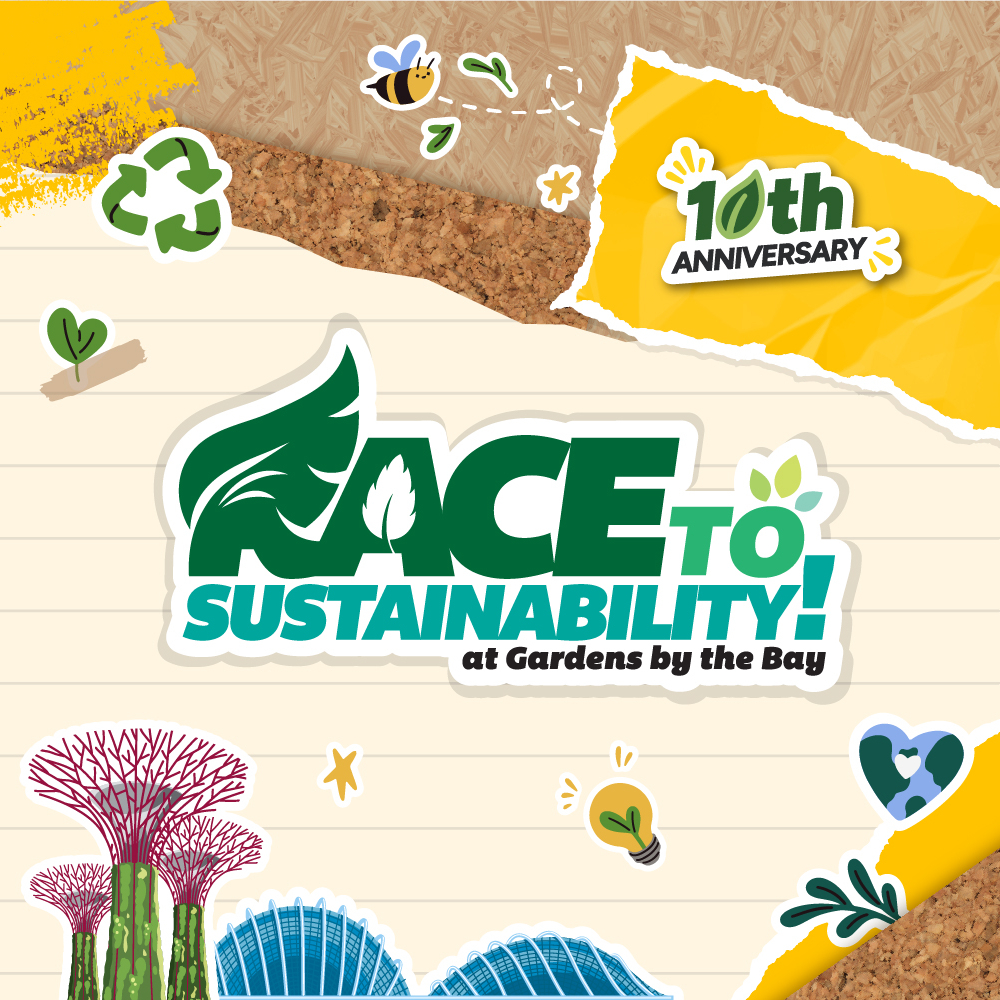 Race to Sustainability! 2026