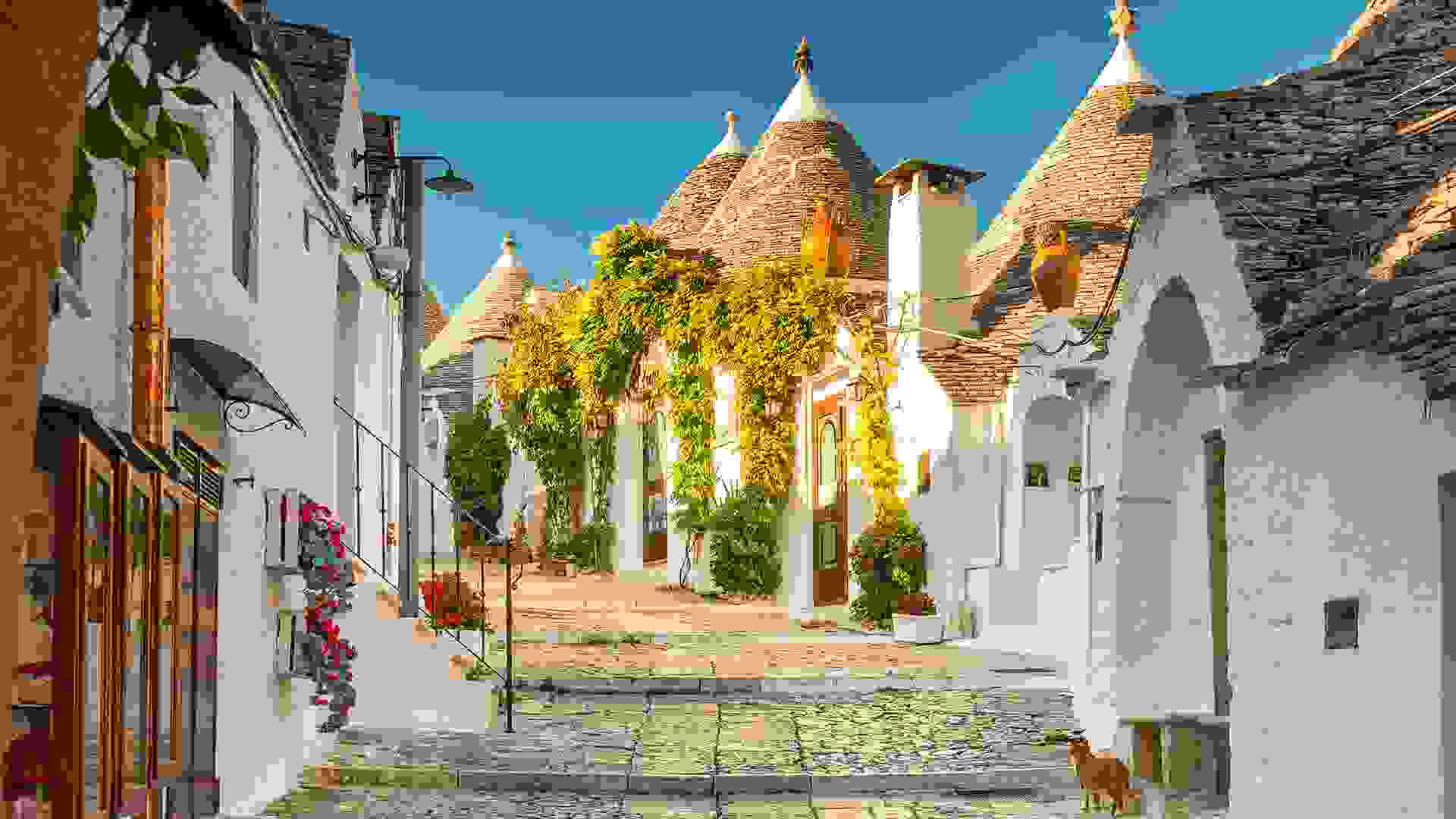 tile-image