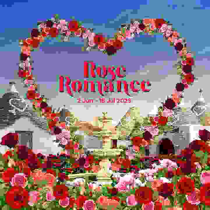 Rose Romance 2023