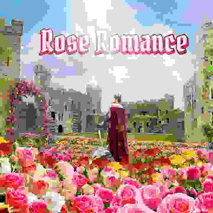 Rose Romance