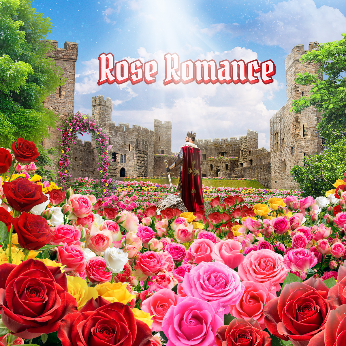 Rose Romance