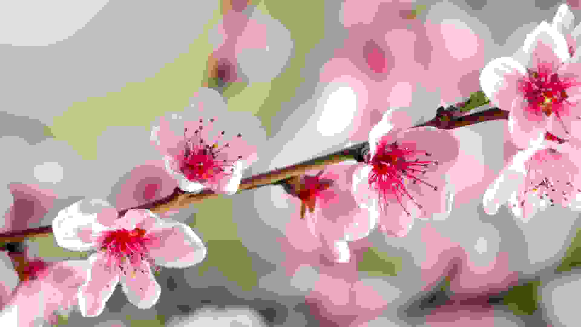 tile-image