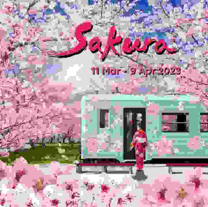 Sakura