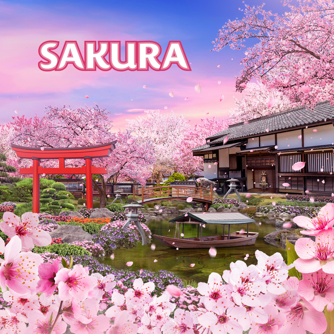 Sakura