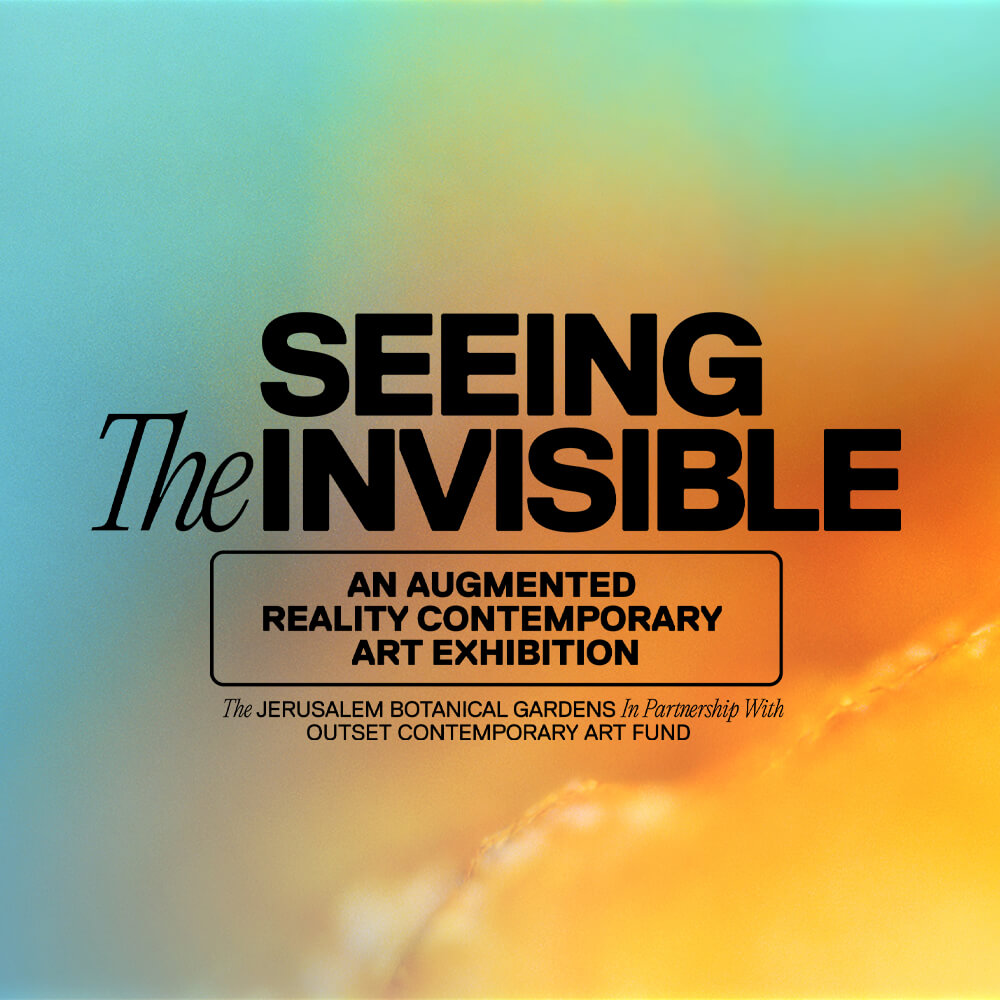 Seeing the Invisible