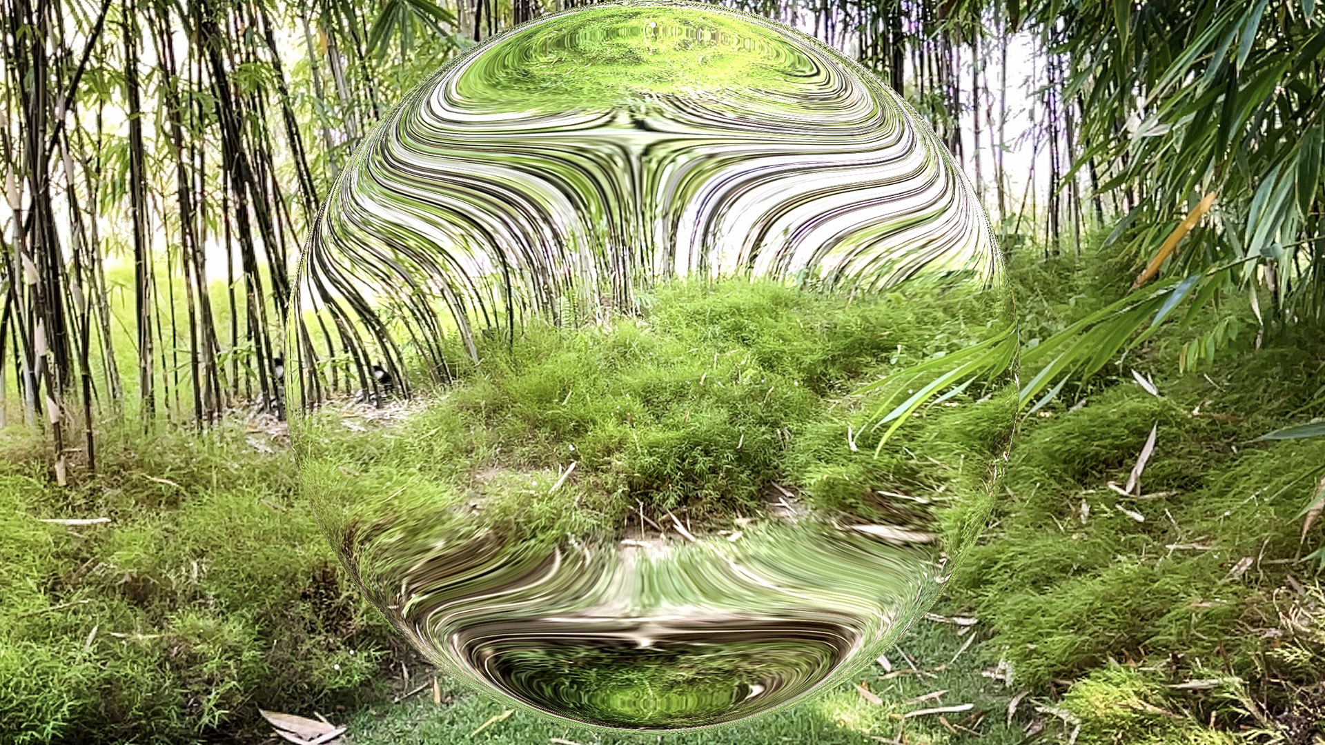 Pneuma