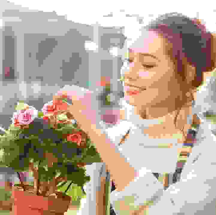 Sensory Moments &ndash; Alpine Adventure Starring Begonias