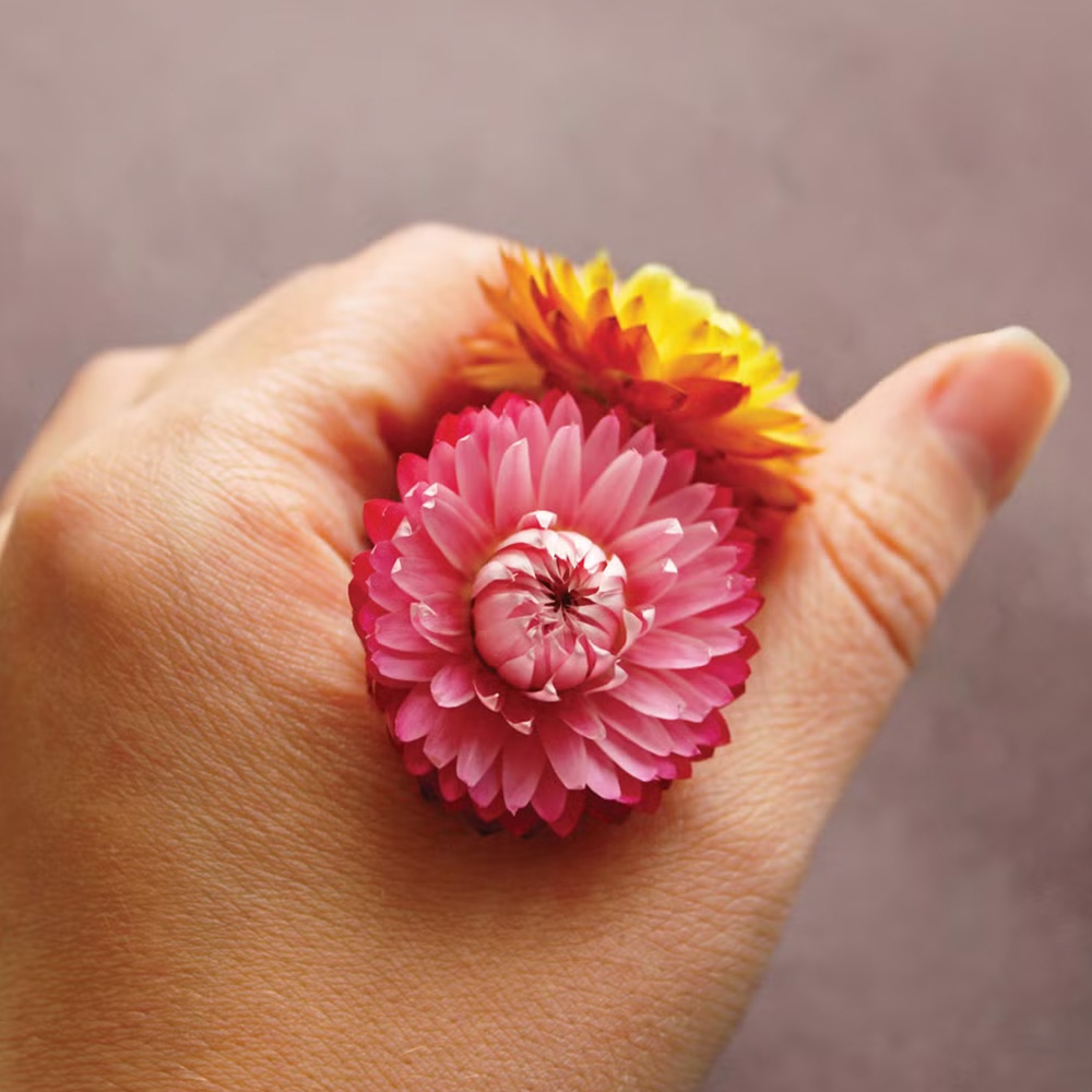 Sensory Moments &ndash; Carnival of Flowers