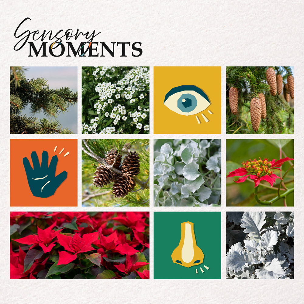 Sensory Moments - Christmas Train Show