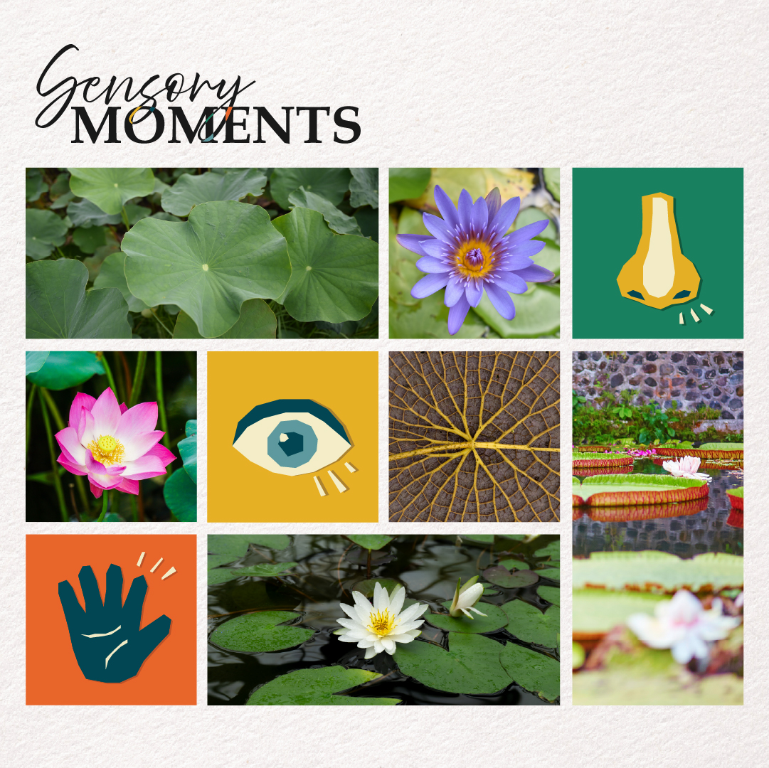 Sensory Moments &ndash; Lilytopia