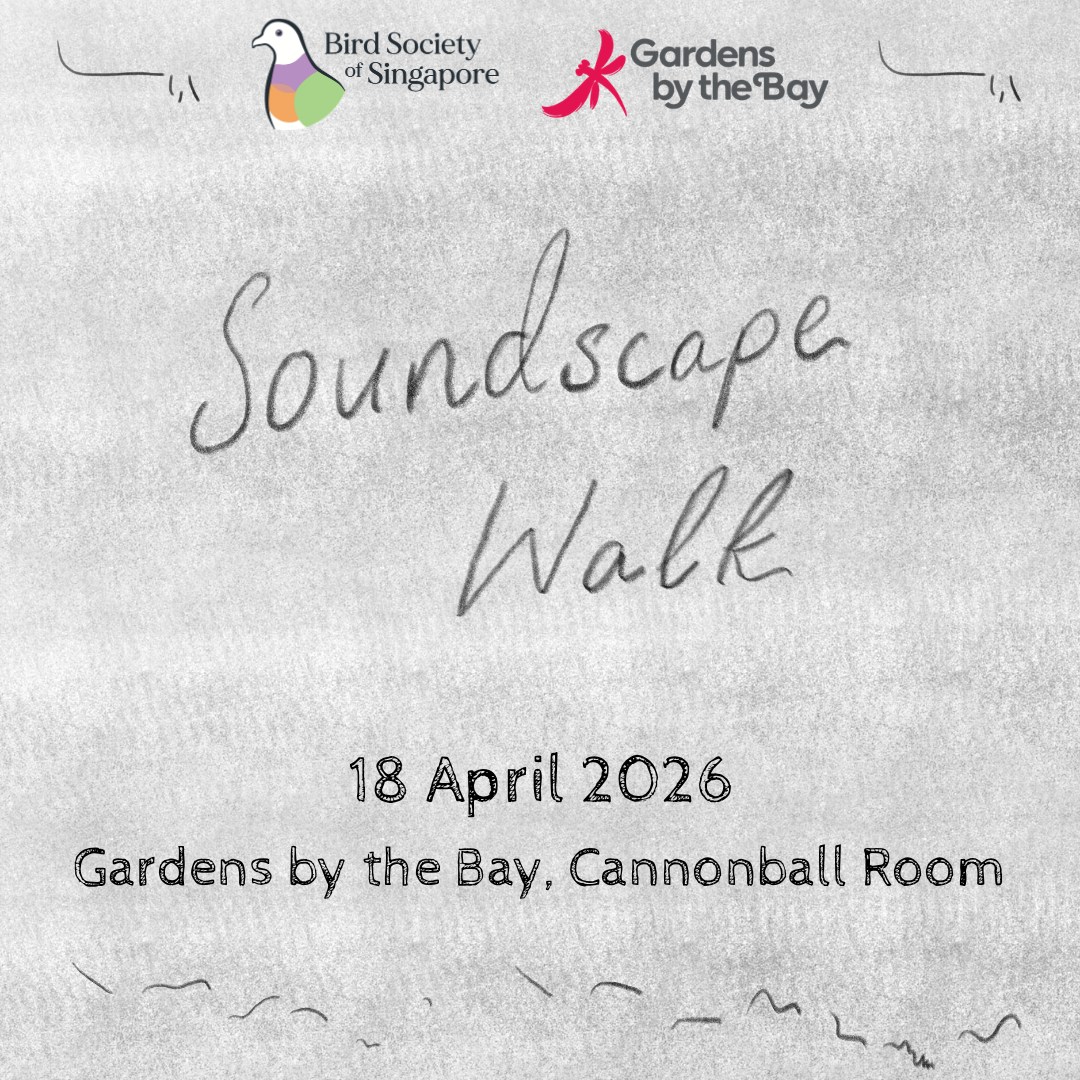 Soundscape Walk