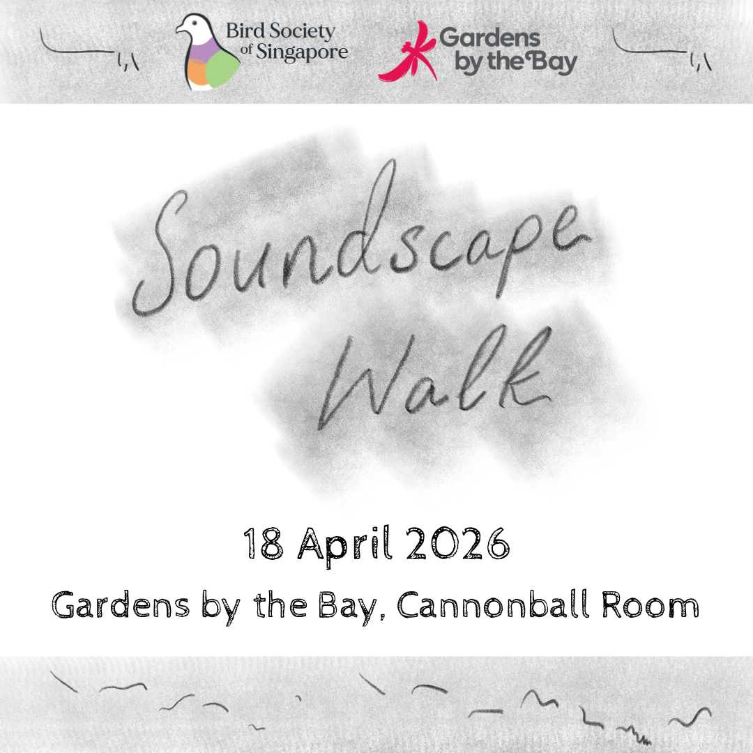 Soundscape Walk