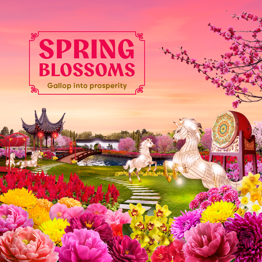 Spring Blossoms: Gallop into Prosperity
