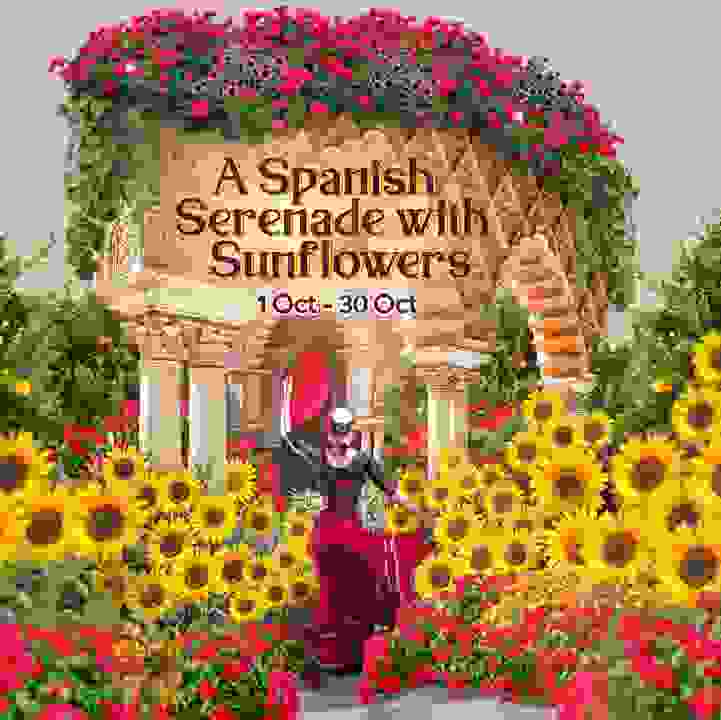 A Spanish Serenade with Sunflowers