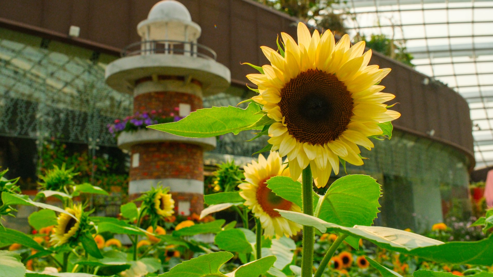Gardens by the bay