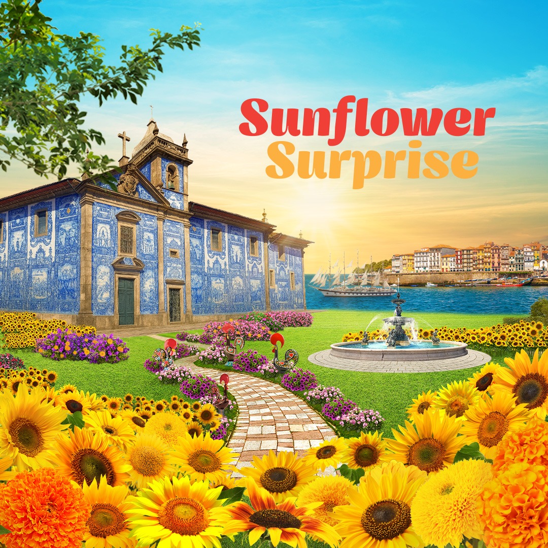 Sunflower Surprise