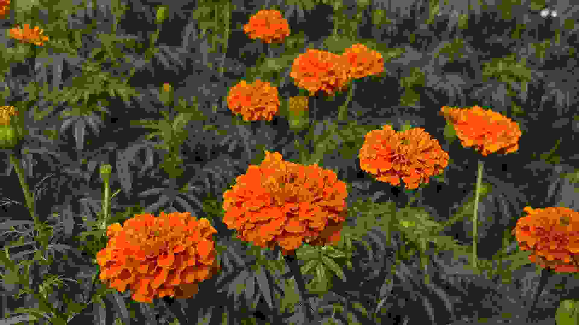 Gardens by the bay