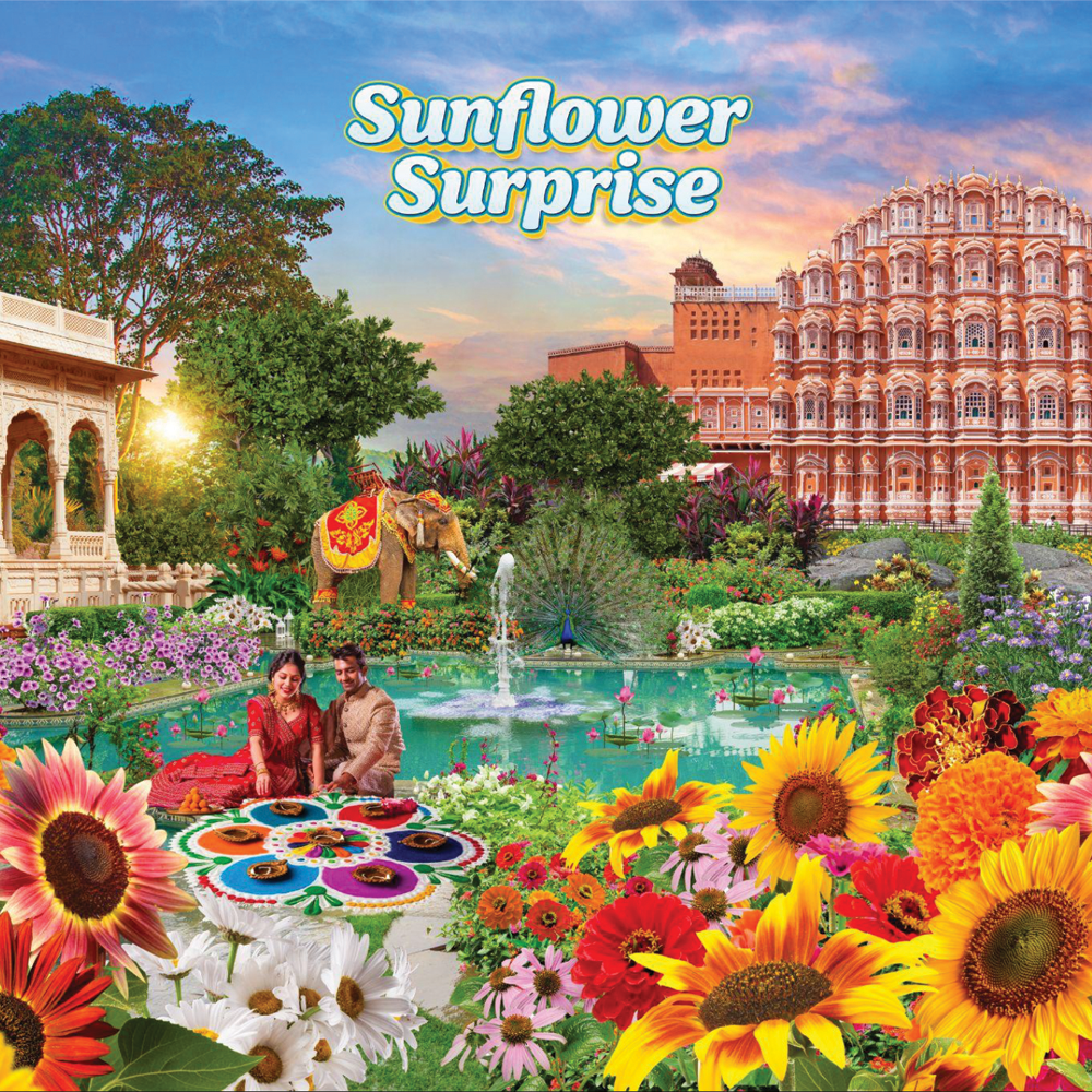 Sunflower Surprise