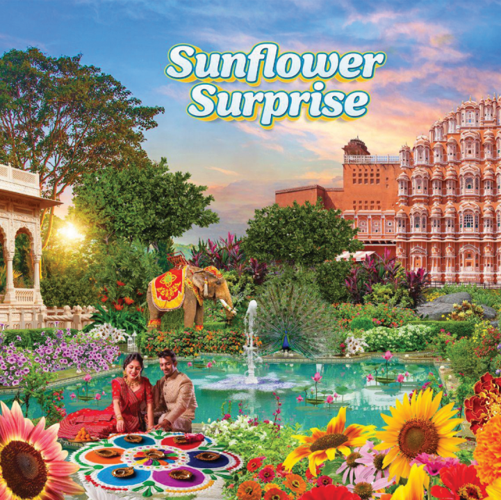 Sunflower Surprise