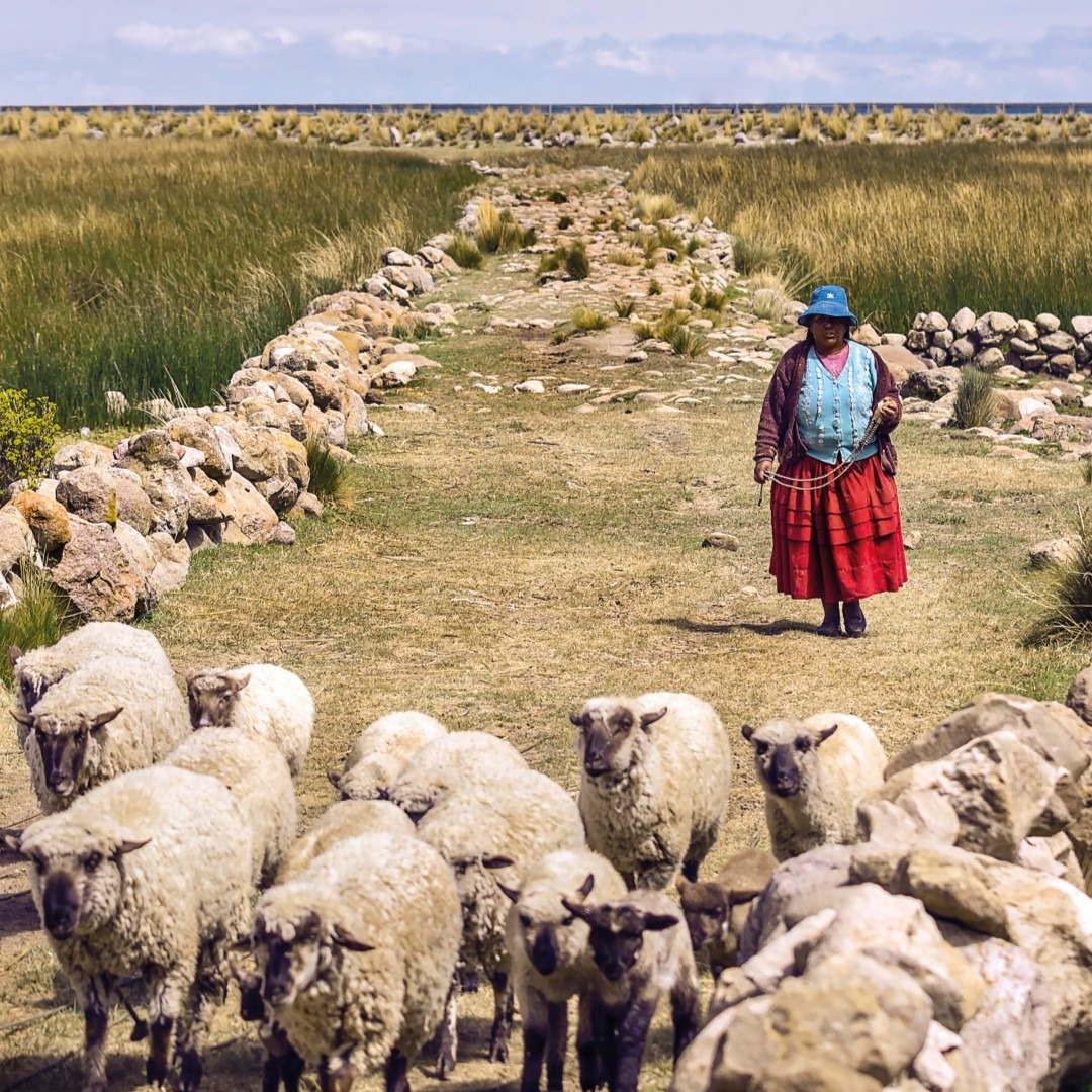 Photo Exhibition: The Great Inca Road &ndash; Peru: Integration and Diversity