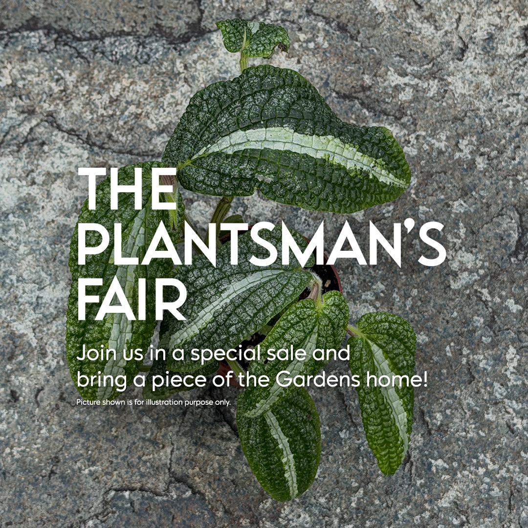 The Plantsman's Fair