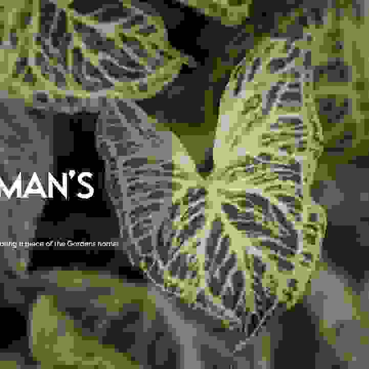The Plantsman's Fair 2023