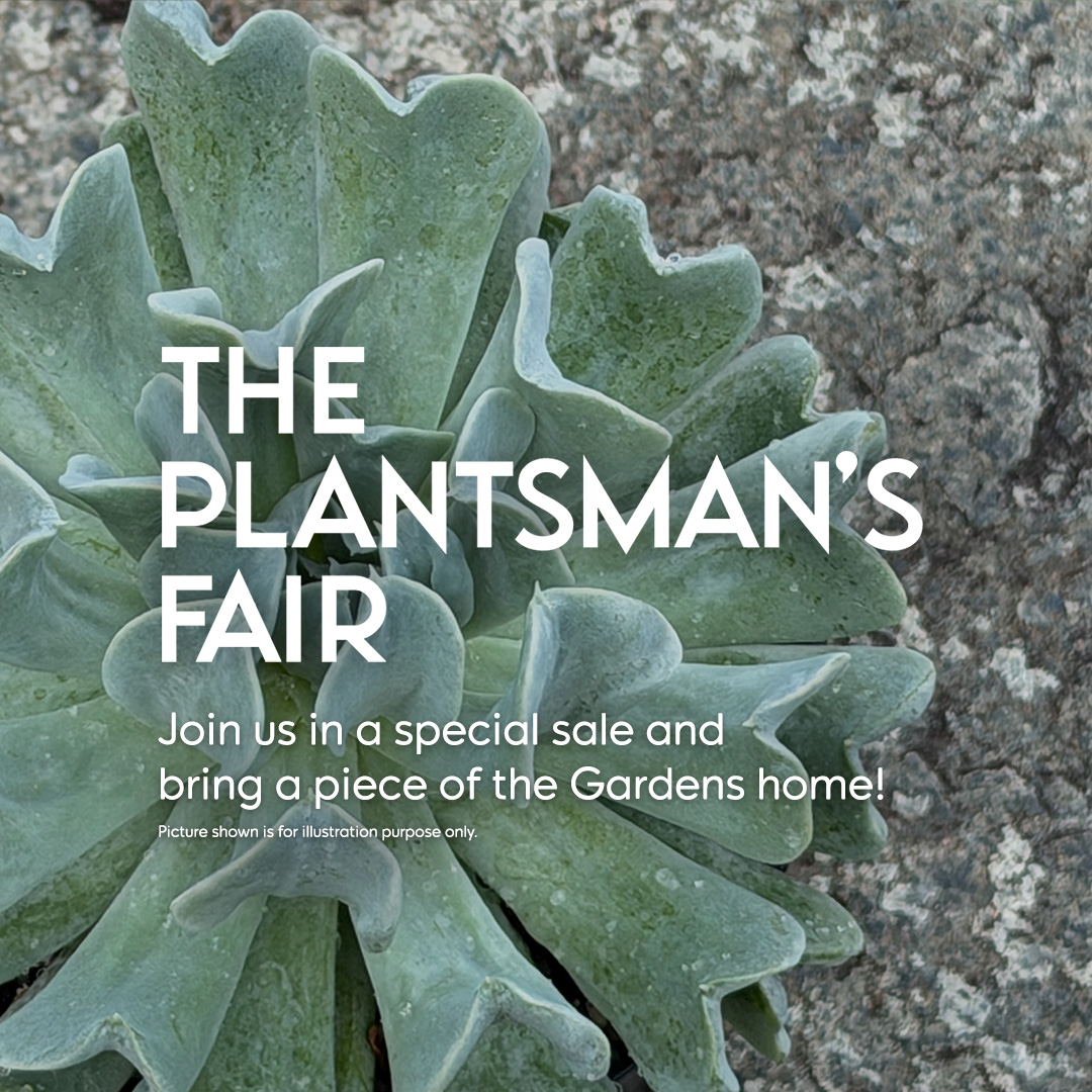 The Plantsman's Fair