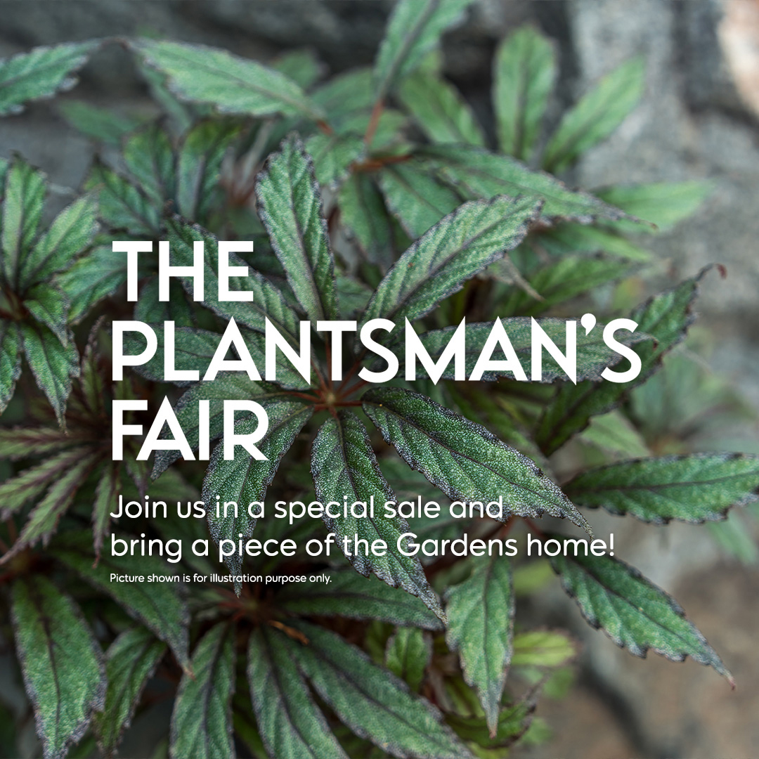 The Plantsman's Fair