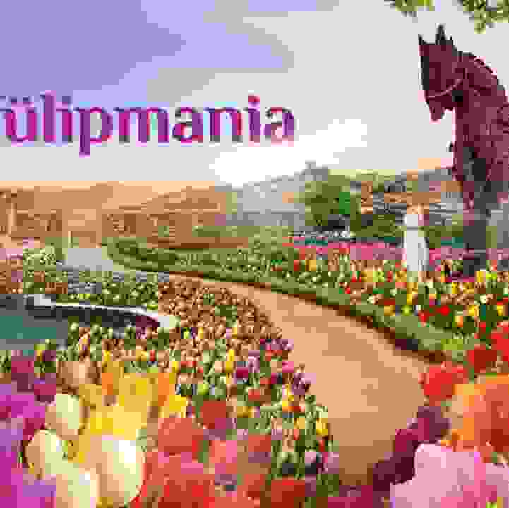 Tulipmania