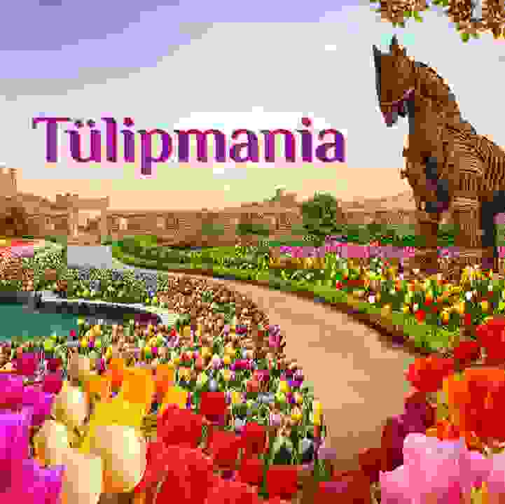 Tulipmania