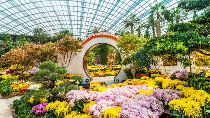 The flower field in the Flower Dome is transformed into a rich tapestry of red, gold and pink, in time for the Mid-Autumn celebrations at Gardens by the Bay