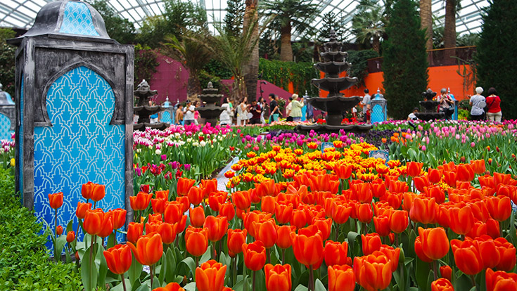 Gardens by the Bay, Tulipmania