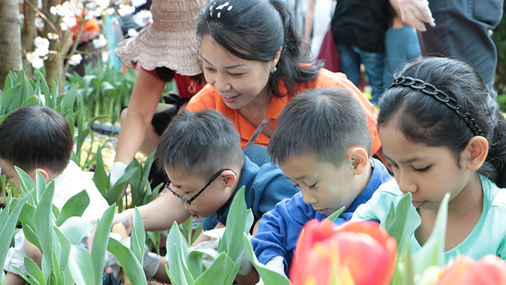 Beneficiaries of Children’s Cancer Foundation planting tulip bulbs in the Flower Dome with their families as well as staff and volunteers of Gardens by the Bay.