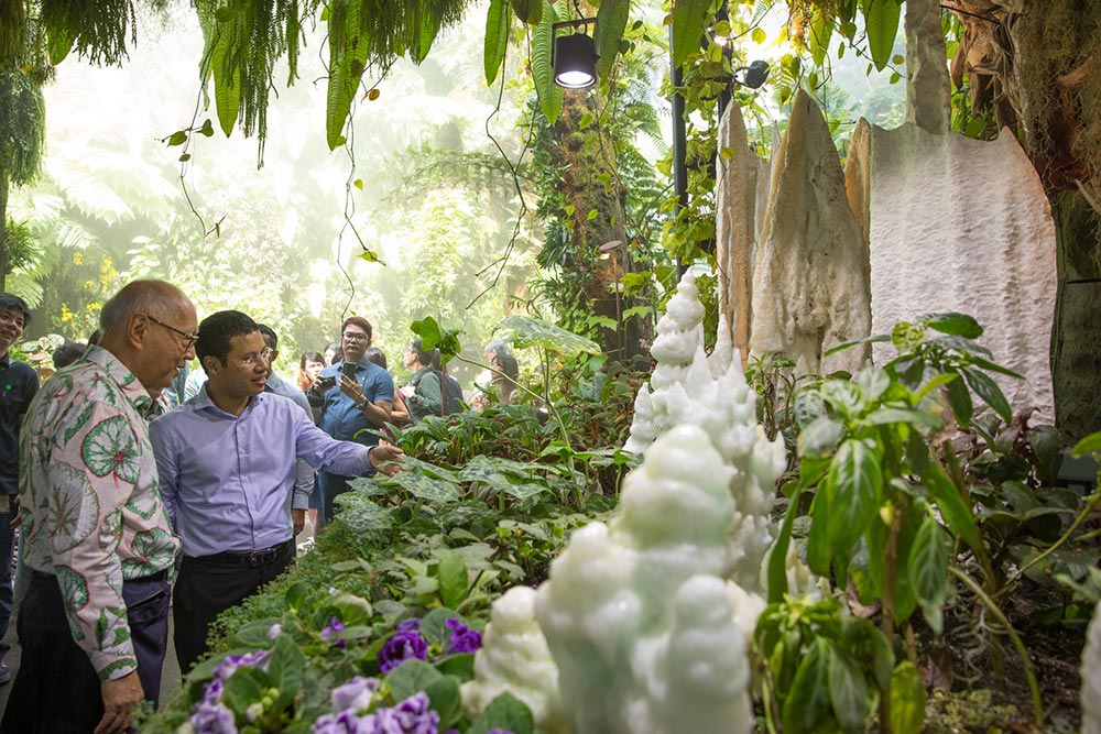 Mr Tan Jiew Hoe, Board Director at Gardens by the Bay and President of the Singapore Gardening Society, showing the new features of the Secret Garden in Cloud Forest to Mr Desmond Lee, Minister for Social and Family Development and Second Minister for National Development.