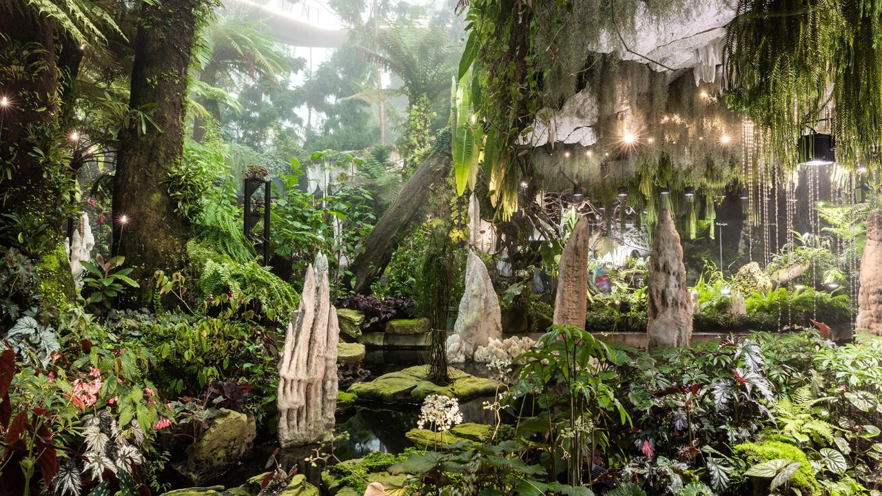 The revamped Secret Garden gives visitors an immersive experience of exploring limestone forests and caves.