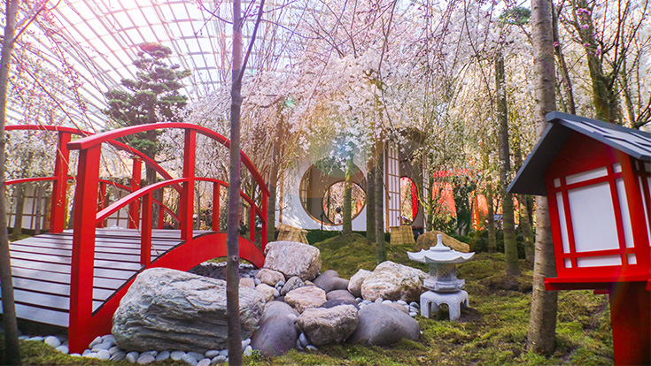 Visitors can enjoy the sight of more cherry blossoms trees, as well as new varieties, at this year’s “Blossom Bliss” floral display, which is set in a Japanese-themed landscape.
